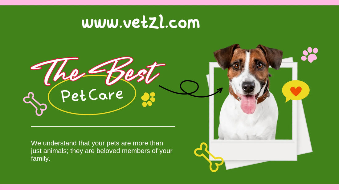 Vetzl tips for healthy pets