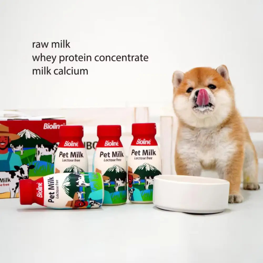 Bioline pet milk for cats & dogs – 220ml