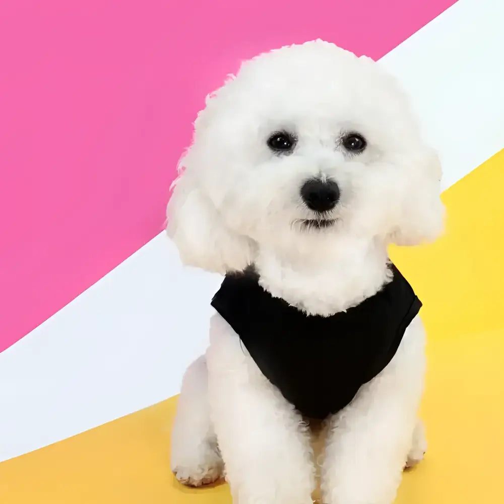 Breathable knitted polyester pet vest for small to medium dogs and cats