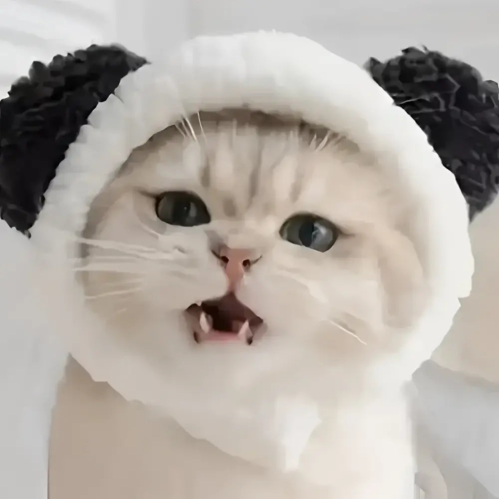 Cozy knit cat hat in black and white for cats small dogs
