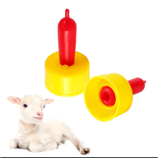 Durable small animal drink bottle for calves lambs puppies and kittens