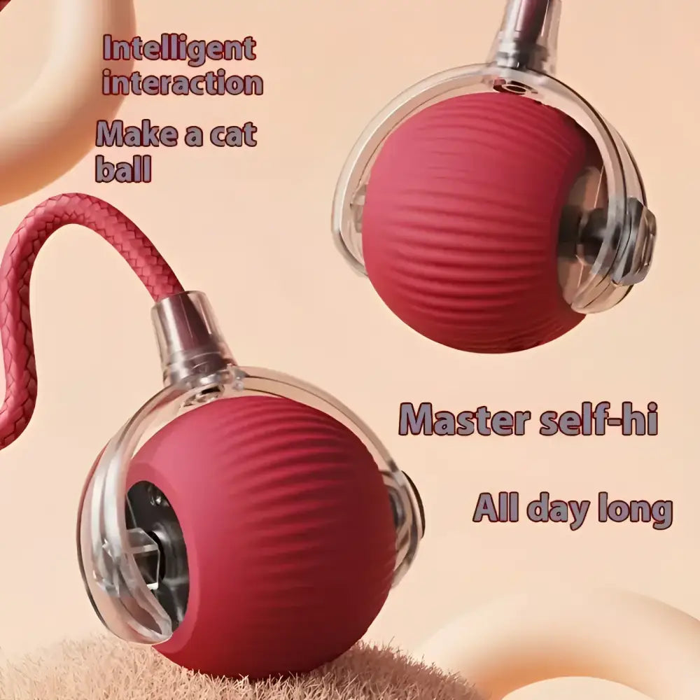 Interactive electric cat toy