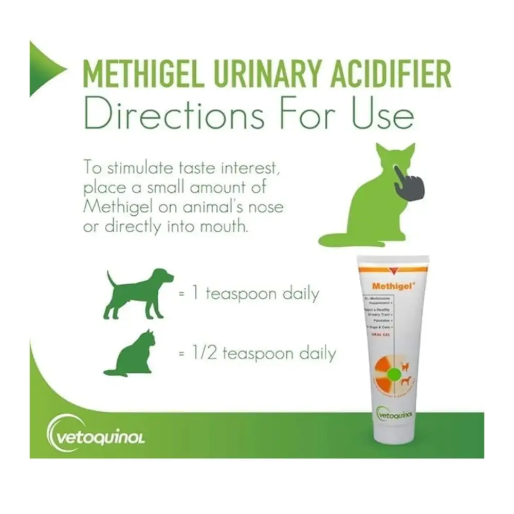 Methigel® | oral gel for cats & dogs | 4.25 oz