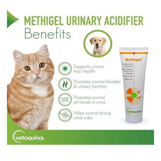Methigel® | oral gel for cats & dogs | 4.25 oz