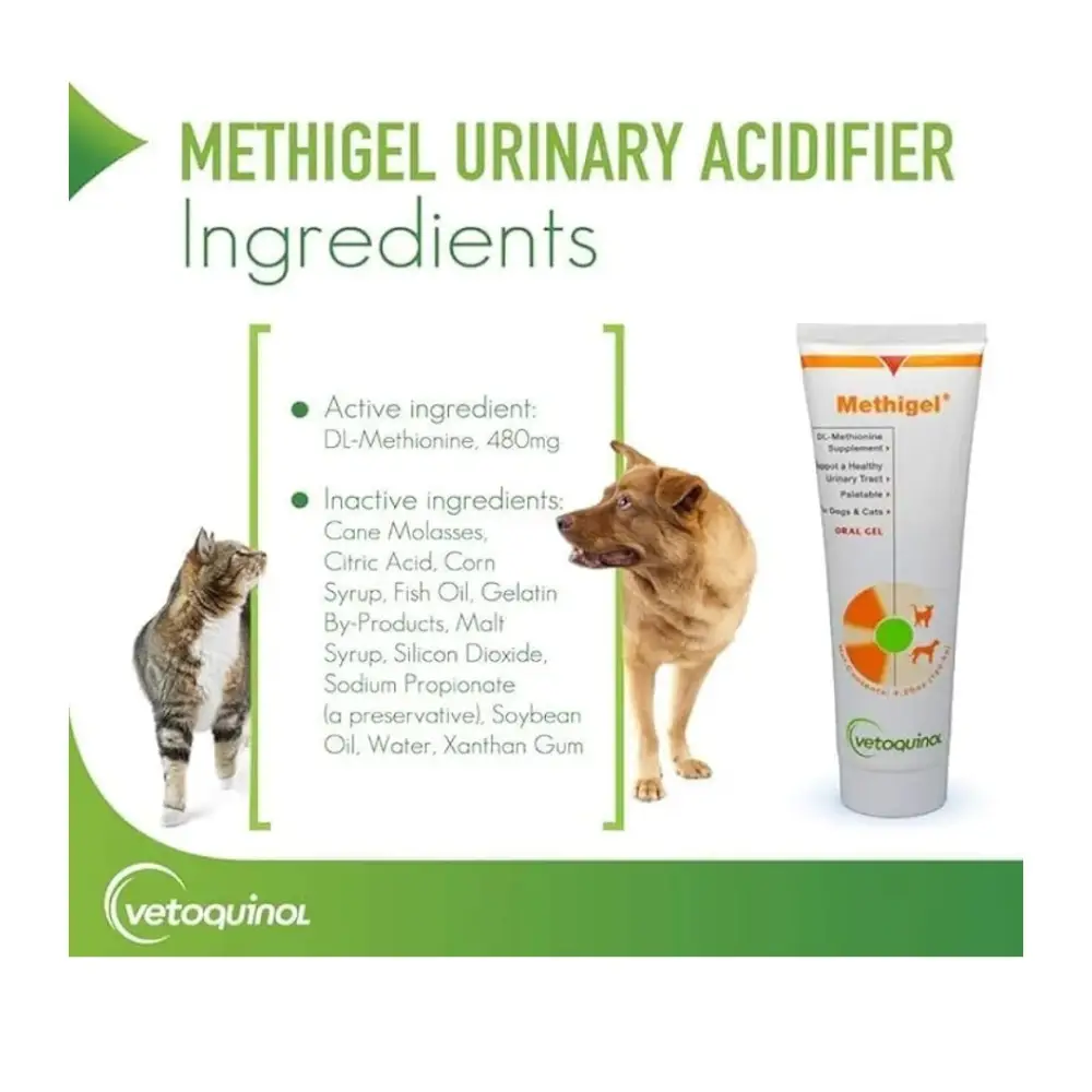 Methigel® | oral gel for cats & dogs | 4.25 oz