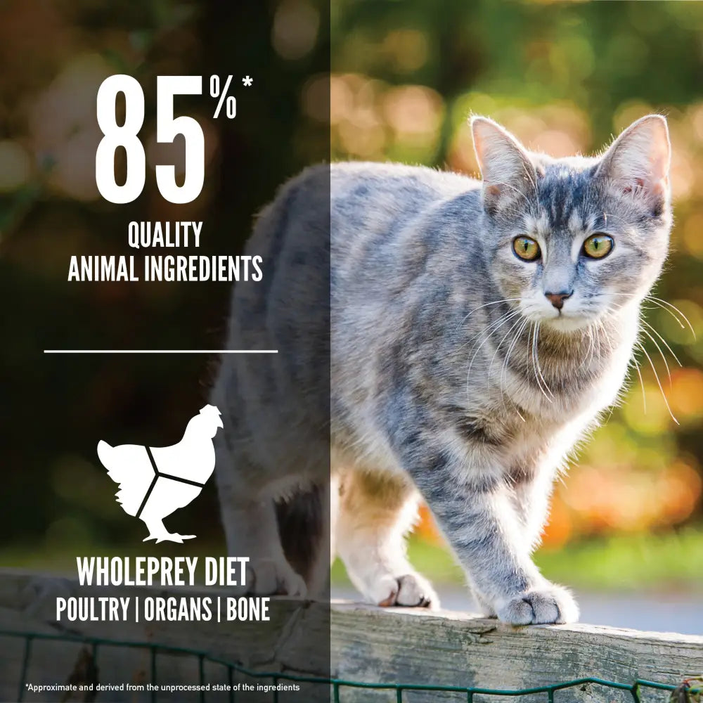 Orijen original cat protein-rich dry food