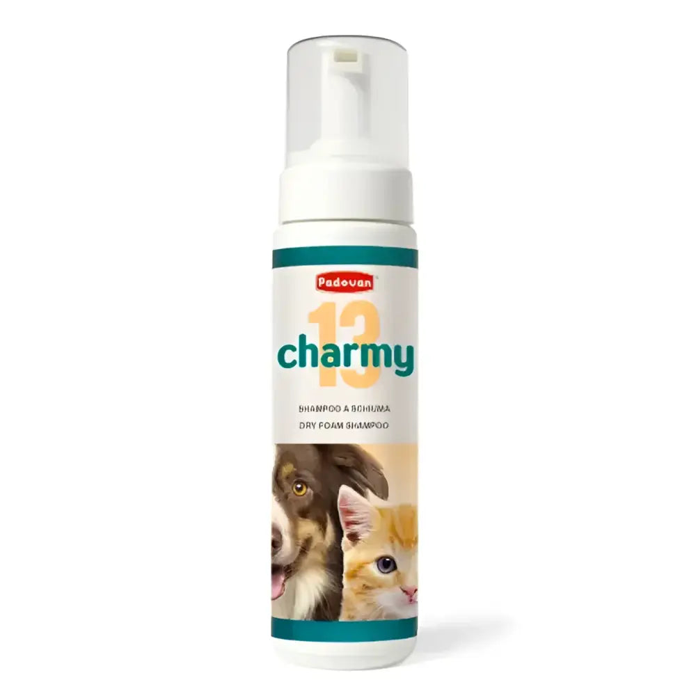 Padovan dry foam shampoo charmy13,200ml charmy13,200ml