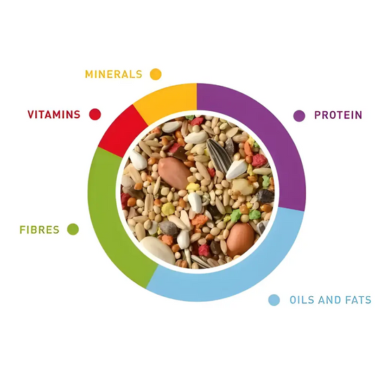 Padovan grandmix parocchetti