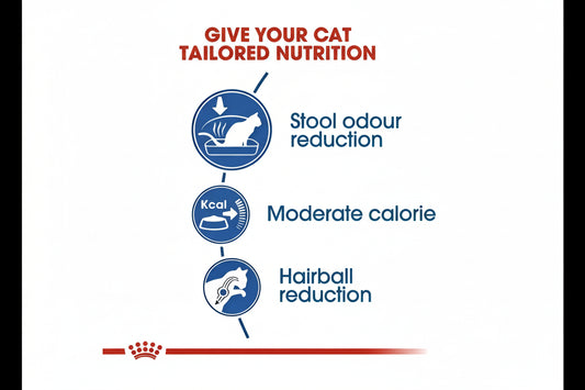 Royal canin indoor 27 cat food – 2kg
