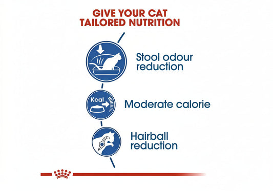 Royal canin home life indoor 27 adult dry cat food
