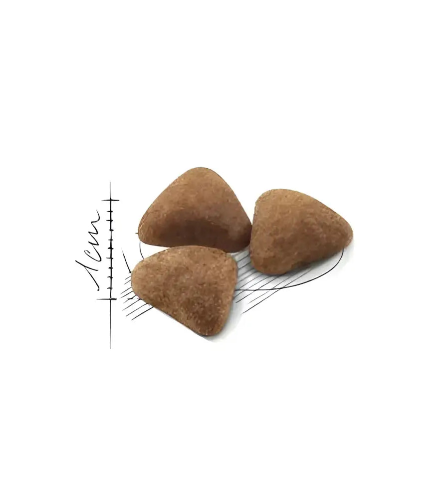 Royal canin home life indoor 27 adult dry cat food