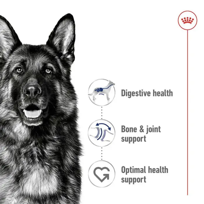 Royal canin maxi adult dry dog food – 10kg
