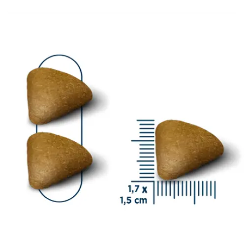 Seven dogs dog food for adult medium & large breeds – lamb rice 14kg