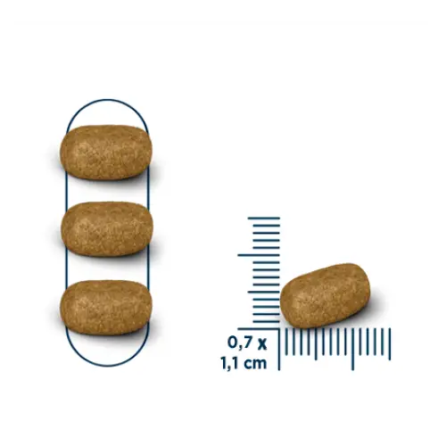 Seven dogs dog food for adult small & mini breeds – beef chicken 10.1kg