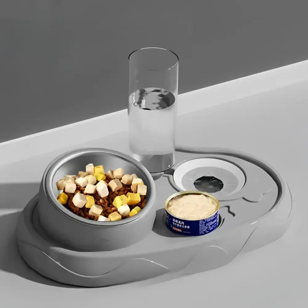 Stainless steel double pet bowl set for cats and dogs