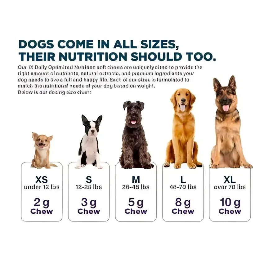 Synergy labs veterinary formula clinical care ultimate joint health |150g