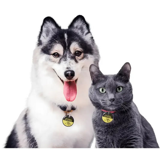 The pet tap smart nfc id locator tags nfc id