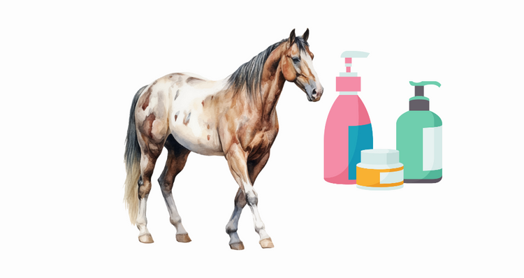 Horse Care , Hygiene