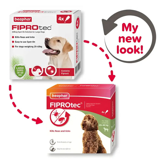 Beaphar fiprotec for large doge | 4 pipette