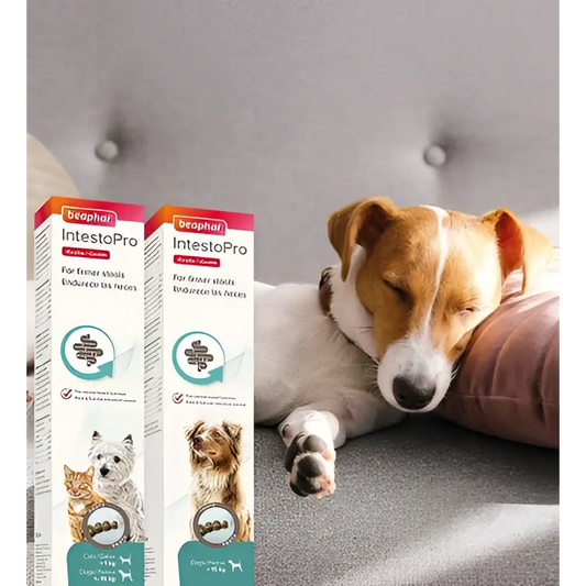 Beaphar intestopro anti diarrhea paste syringe | 20ml