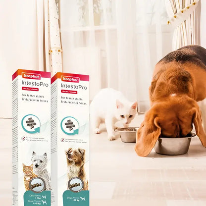 Beaphar intestopro anti diarrhea paste syringe | 20ml