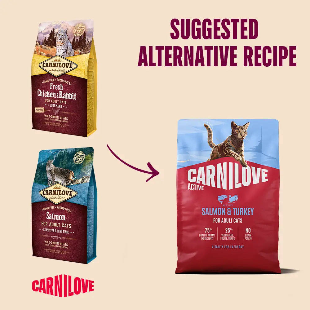 Carnilove active salmon & turkey for adult all breeds dry cat food
