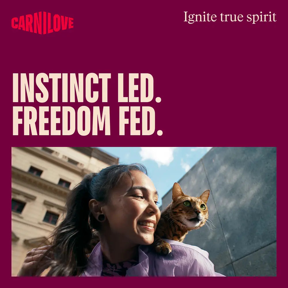 Carnilove active salmon & turkey for adult all breeds dry cat food