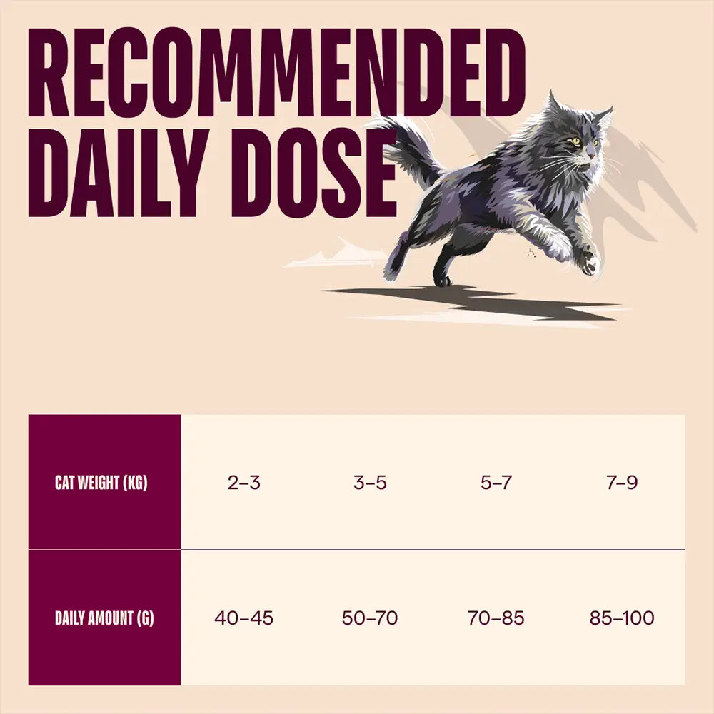 Carnilove active salmon & turkey for adult all breeds dry cat food
