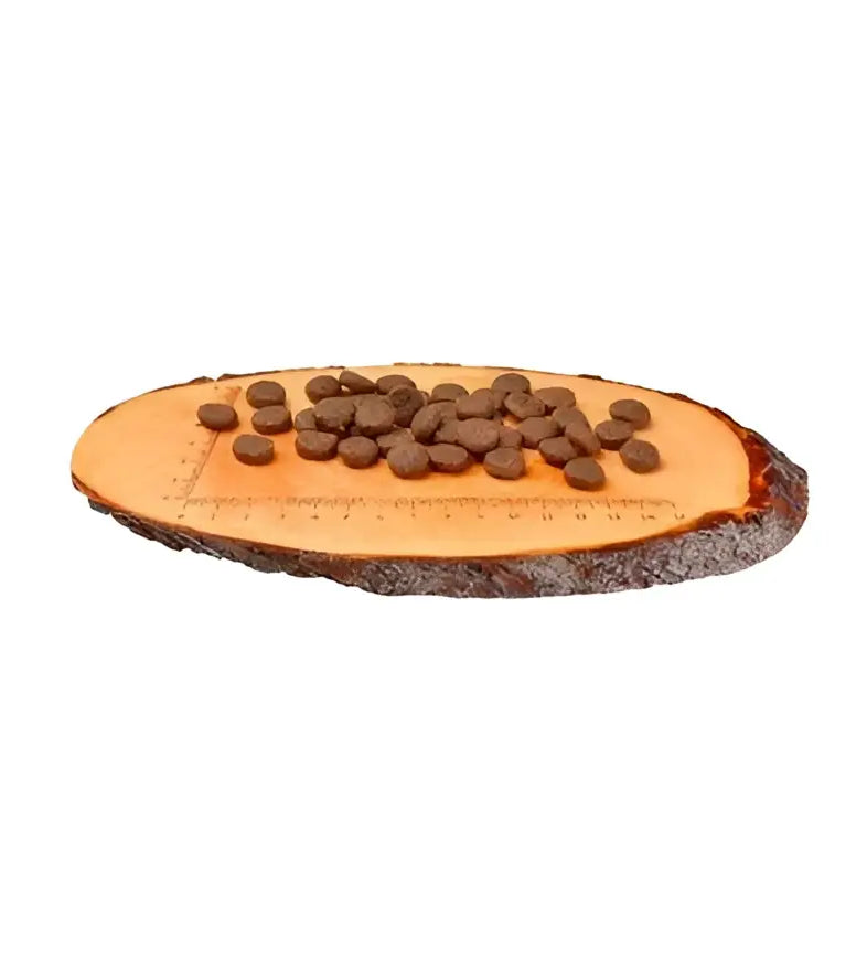 Carnilove salmon & turkey for large breed puppy – dry dog food
