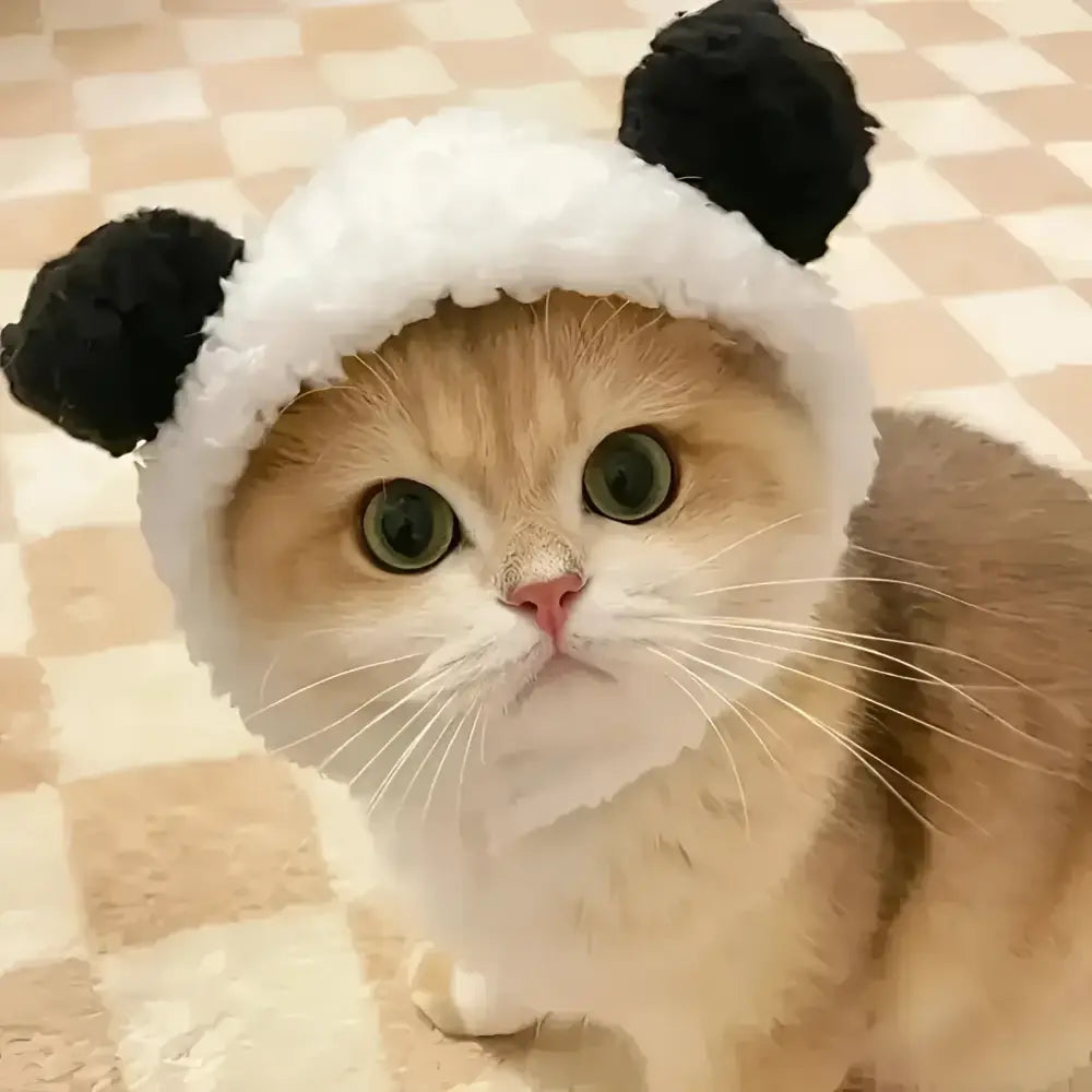 Cozy knit cat hat in black and white for cats small dogs