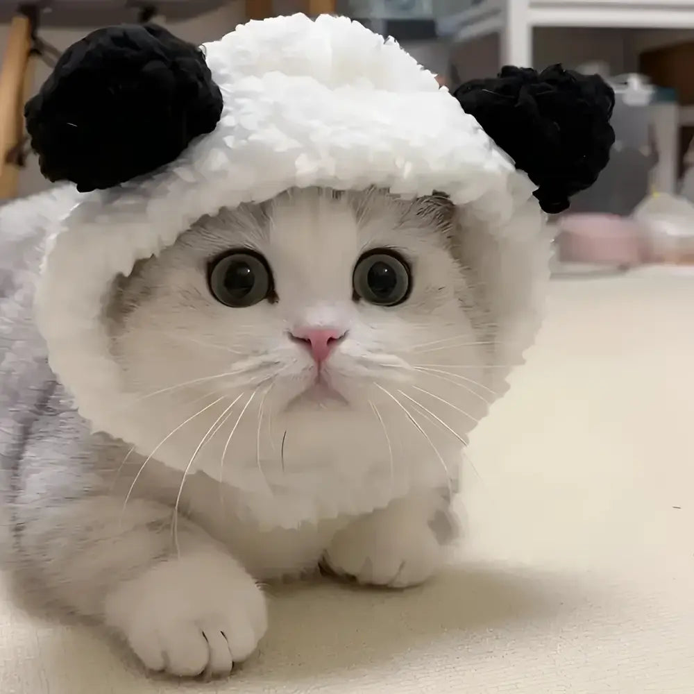 Cozy knit cat hat in black and white for cats small dogs