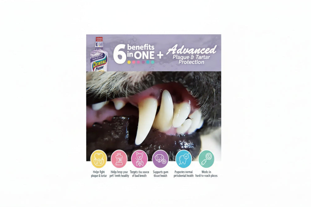 Dental fresh water additive| 500 ml