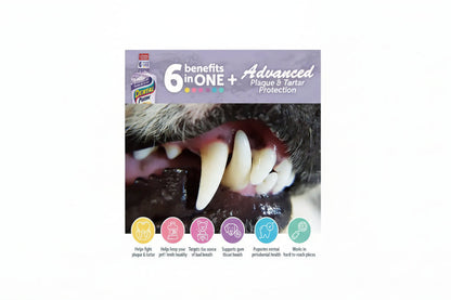 Dental fresh water additive| 500 ml