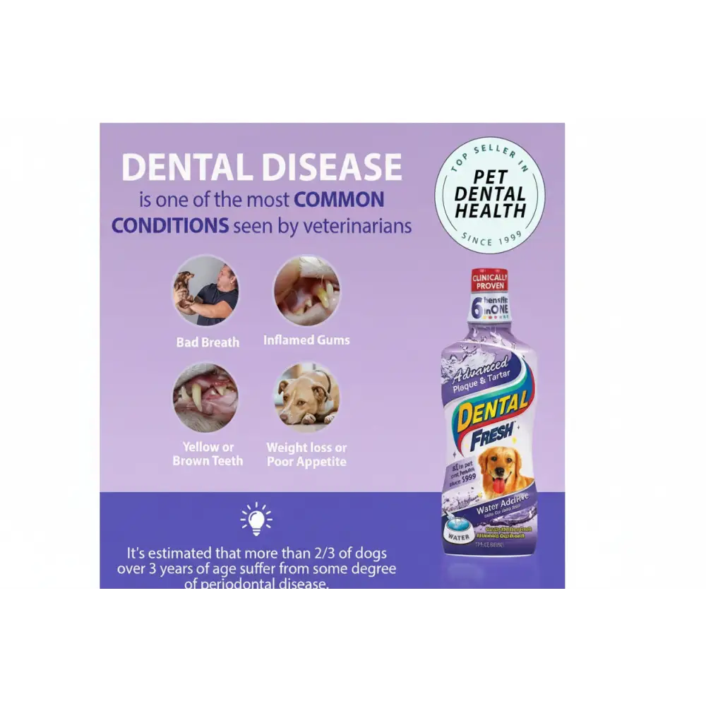 Dental fresh water additive| 500 ml