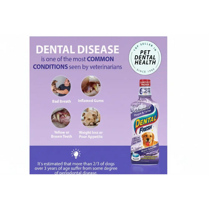 Dental fresh water additive| 500 ml
