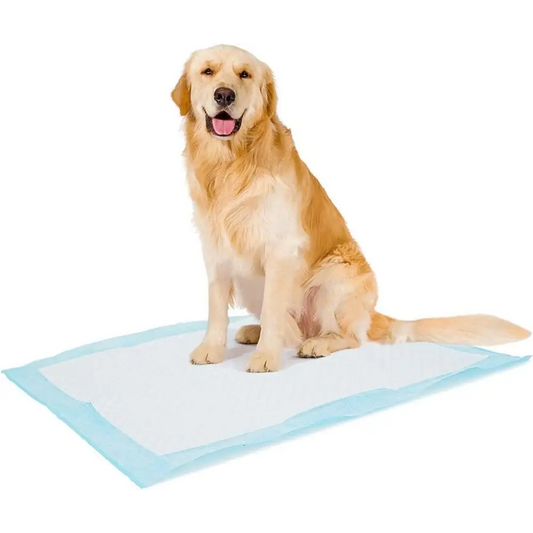 Duvo + pet pad standard month pack xl-60x60cm 30pcs duvo + xl-60x60cm