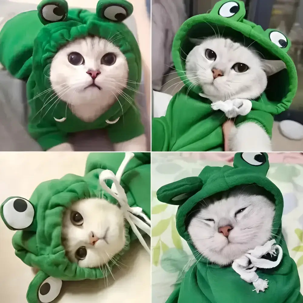 Frog-themed cozy knit sweatshirt for small cats