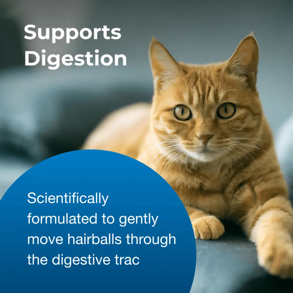 Hairball natural solution gel supplement for cats| 100g