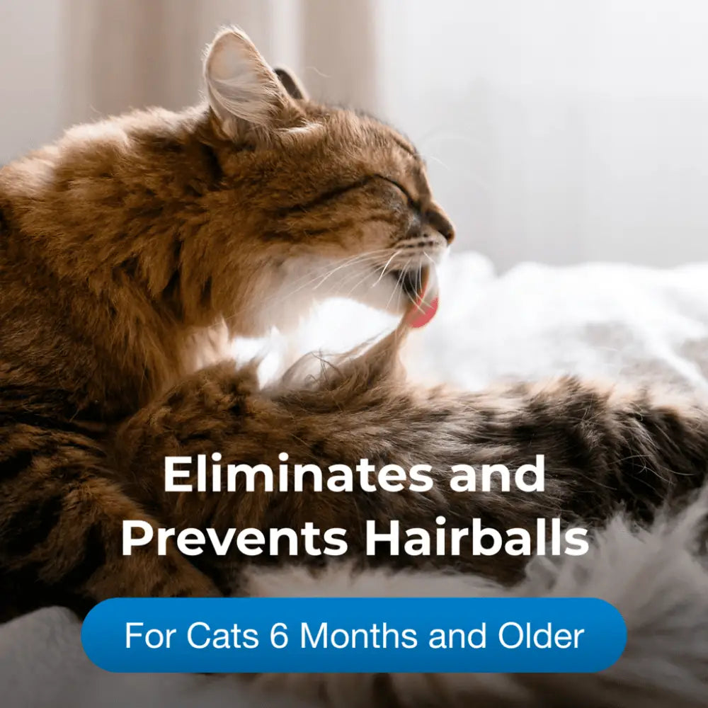 Hairball solution gel supplement for cats