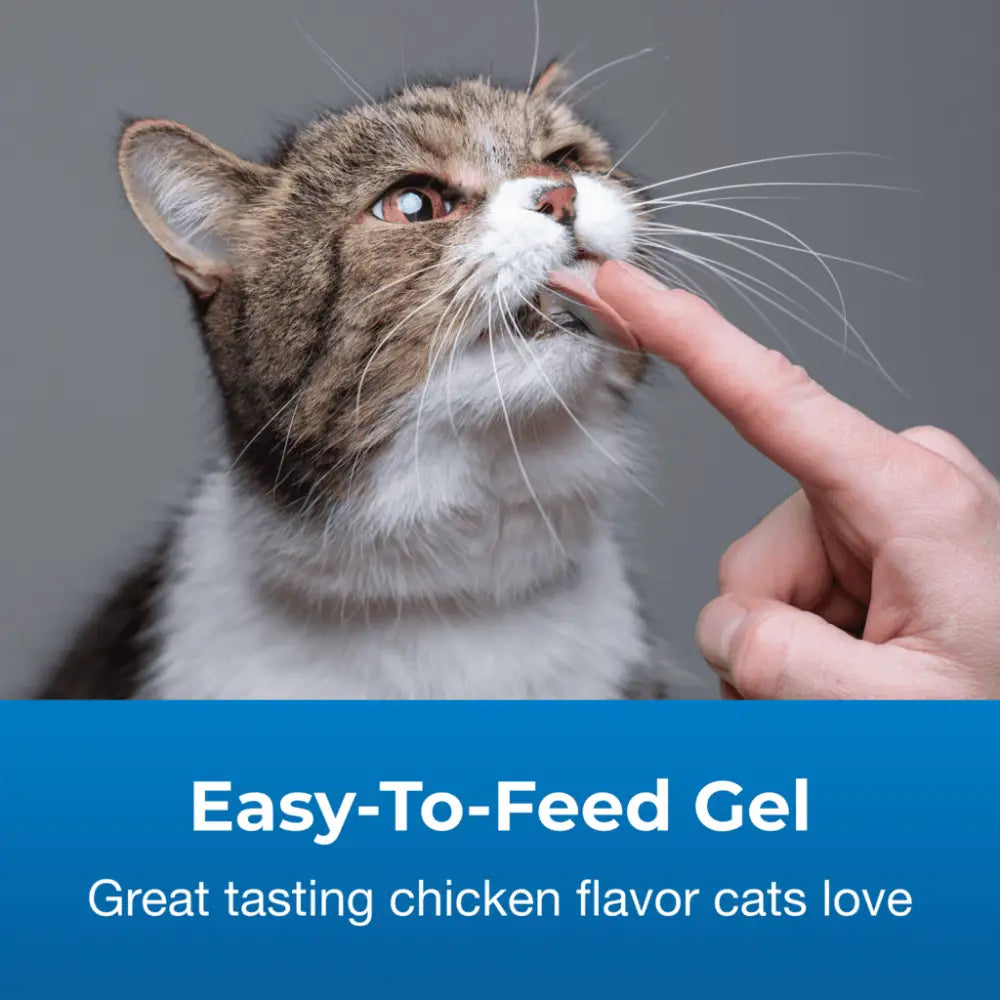 Hairball solution gel supplement for cats