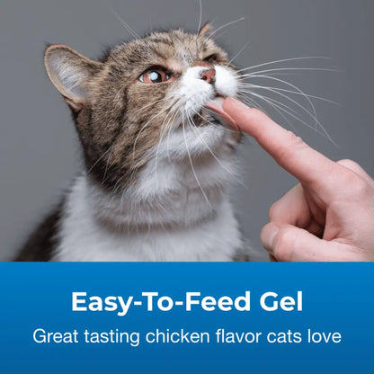 Hairball solution gel supplement for cats