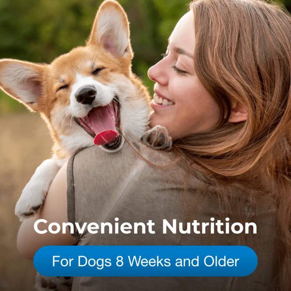 High-calorie gel supplement for dogs