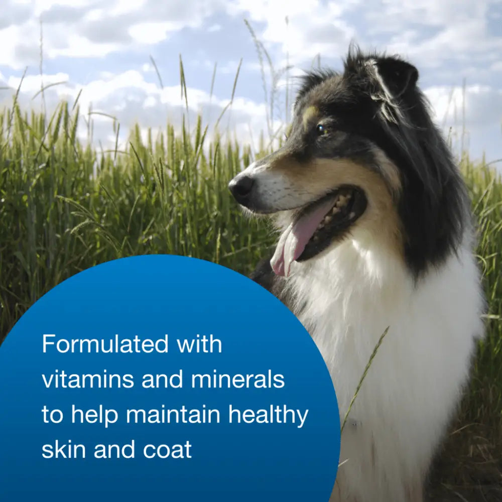 High-calorie gel supplement for dogs