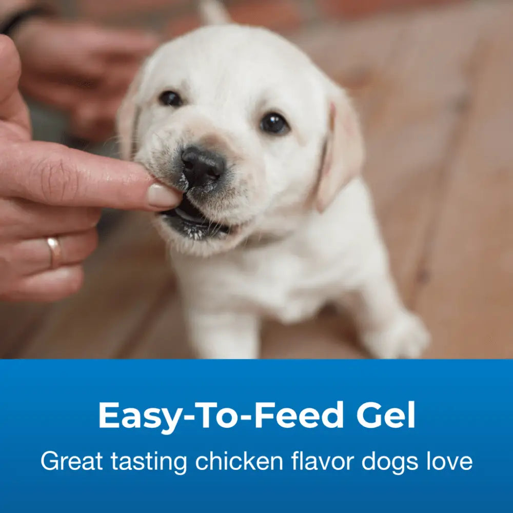High-calorie gel supplement for dogs