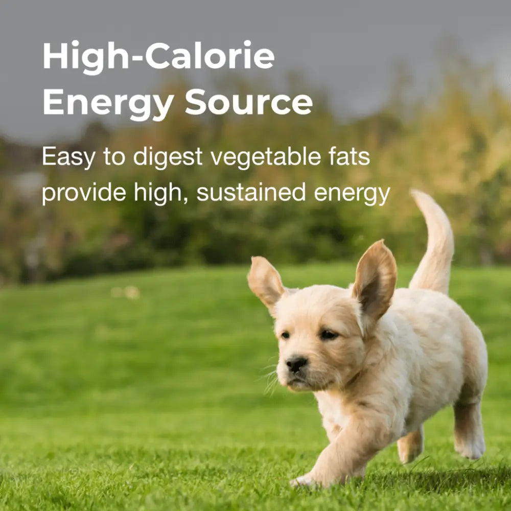 High-calorie gel supplement for dogs