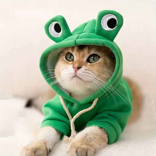 Frog-themed cozy knit sweatshirt for small cats