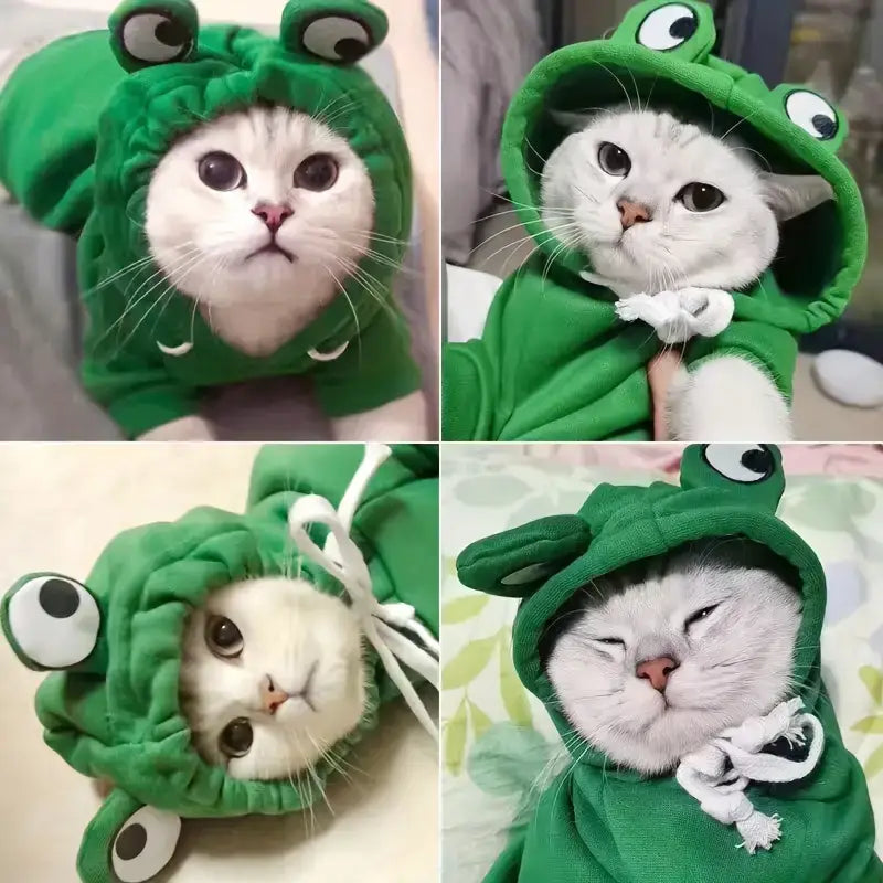 Frog-themed cozy knit sweatshirt for small cats