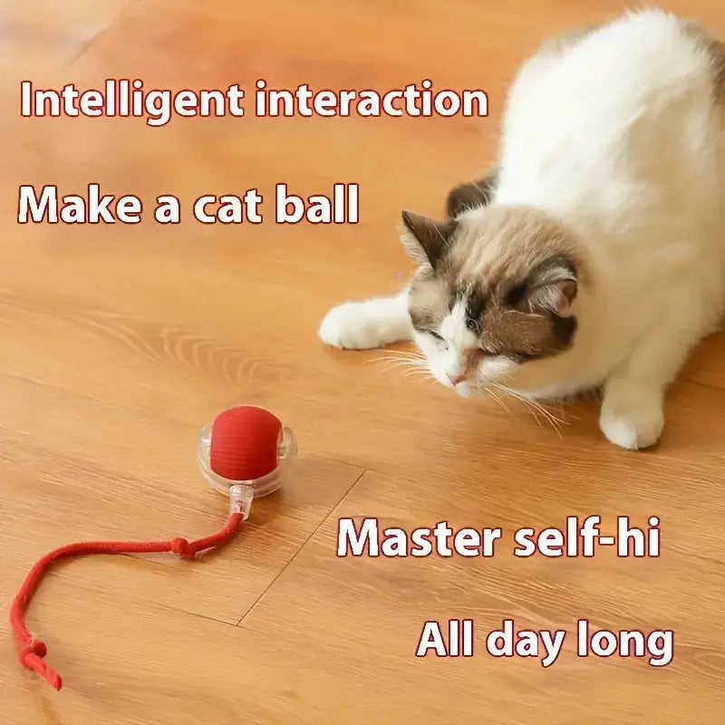 Interactive electric cat toy red