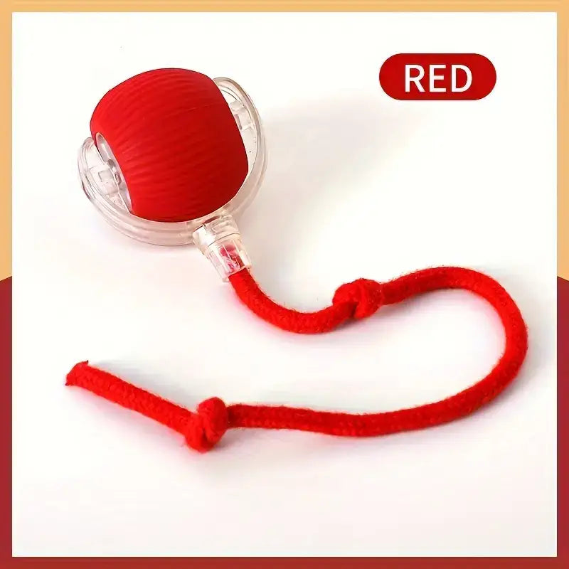 Interactive electric cat toy red