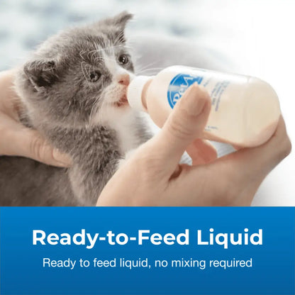 Kmr kitten milk replacer powder| 170g